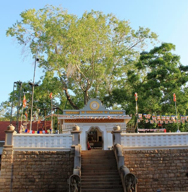 Anuradhapura Ancient City – Sri Lanka’s First Capital & UNESCO World Heritage Site - Photo 1
