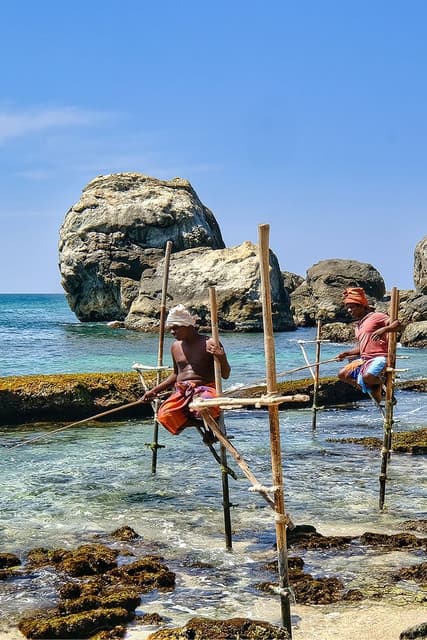 Stilt Fishing in Sri Lanka: The Art of Balancing Tradition and Ocean Life - Photo 3