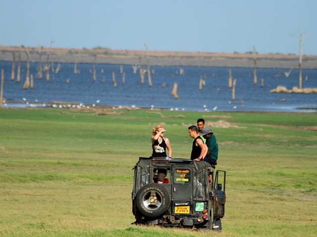 Minneriya National Park – Home of the Great Elephant Gathering - Photo 4