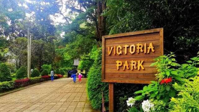 Nuwara Eliya City Tour – The Little England of Sri Lanka - Photo 4