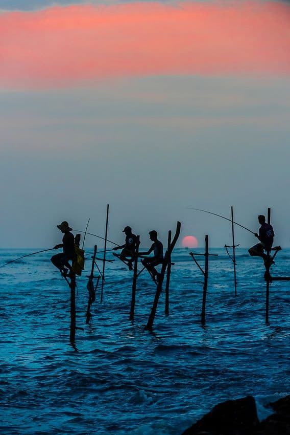Stilt Fishing in Sri Lanka: The Art of Balancing Tradition and Ocean Life - Photo 1