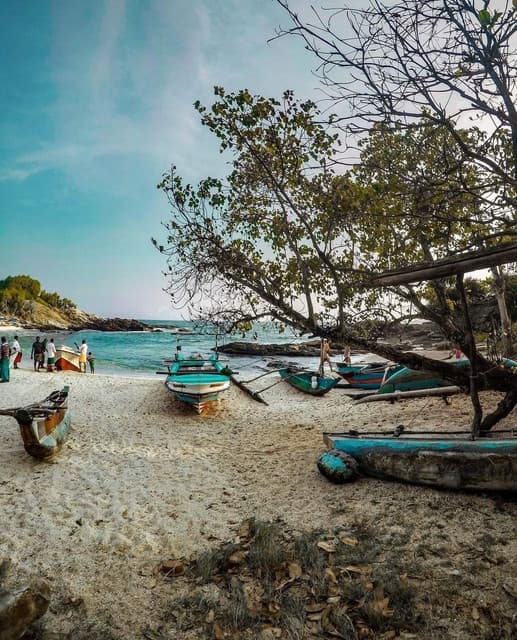 Pigeon Island Trincomalee – Snorkeling with Reef Sharks & Turtles - Photo 3