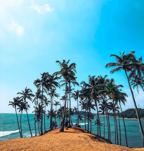 Coconut Tree Hill Mirissa – A Scenic Tropical Icon in Sri Lanka - Photo 3