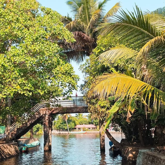 Sailing Through Time: The Dutch Canal of Negombo - Photo 4