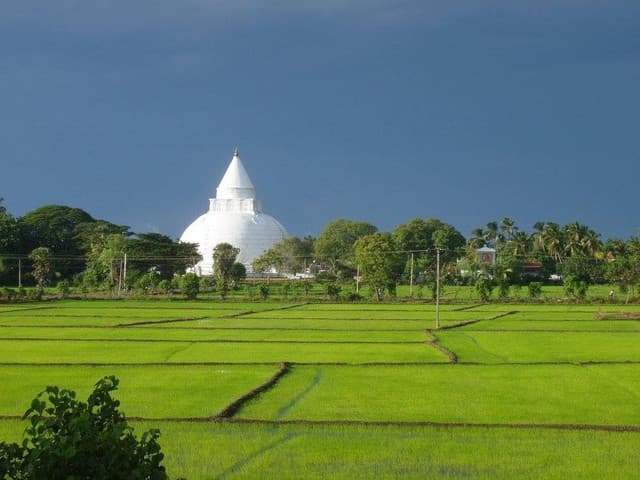 Experience Authentic Sri Lankan Village Life in Tissamaharama - Photo 7