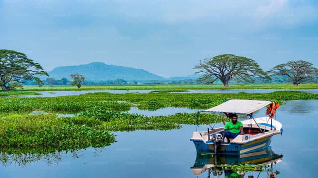 Experience Authentic Sri Lankan Village Life in Tissamaharama - Photo 5