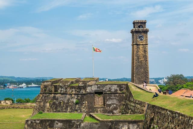 Colombo to Galle Scenic Coastal Journey – Turtles & Mangroves 9