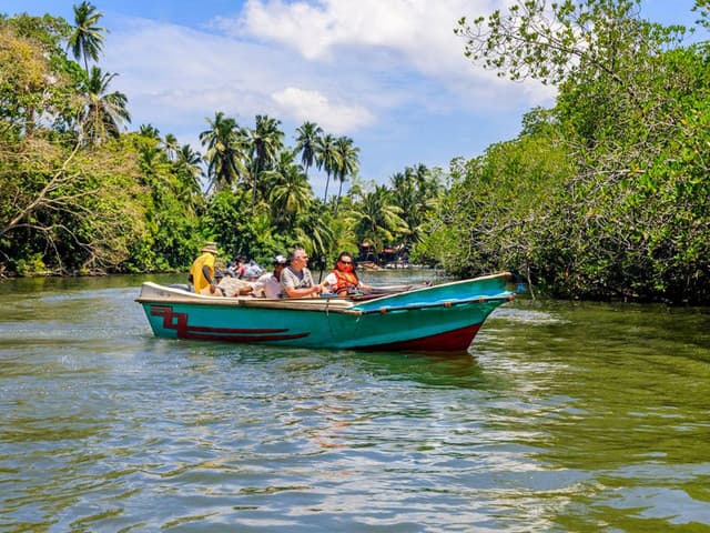 Colombo to Galle Scenic Coastal Journey – Turtles & Mangroves 4