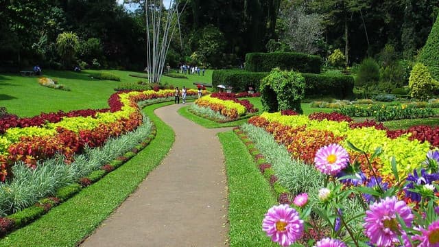 Peradeniya Botanical Garden: Sri Lanka’s Royal Green Sanctuary - Photo 3