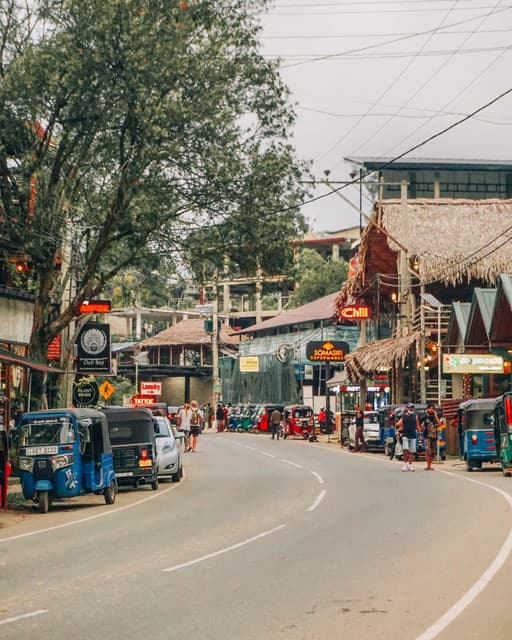 Yala to Ella Transfer with Ella City Tour & Sightseeing 6