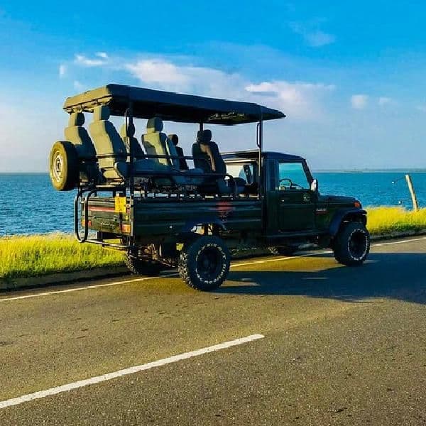 Ath Athuru Sevana Elephant Experience & Udawalawe Safari from Colombo 6