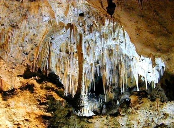 Waulpane Cave – A Hidden Natural Wonder in Sri Lanka