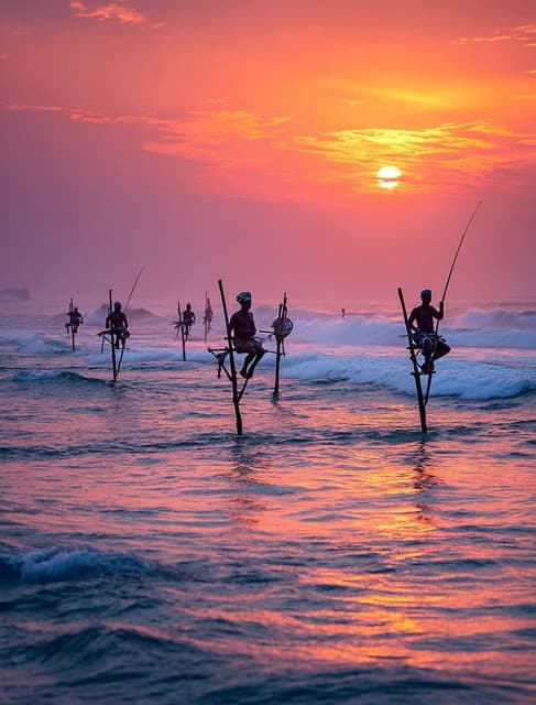 Stilt Fishing in Sri Lanka: The Art of Balancing Tradition and Ocean Life