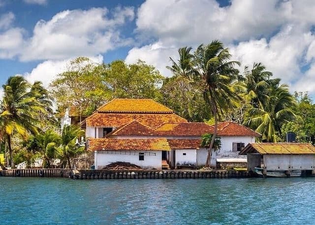 Colombo to Galle Scenic Coastal Journey – Turtles & Mangroves 5