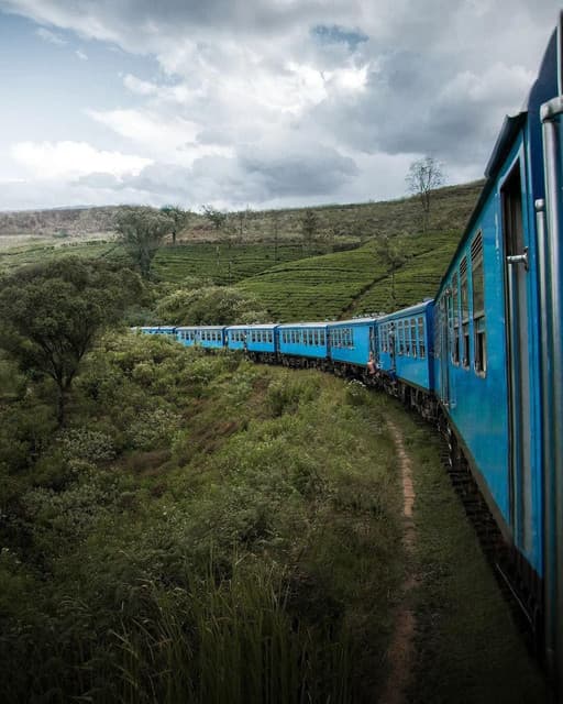 From Tea Country to Mountain Views: The Magic of the Nanu Oya–Ella Railway - Photo 3
