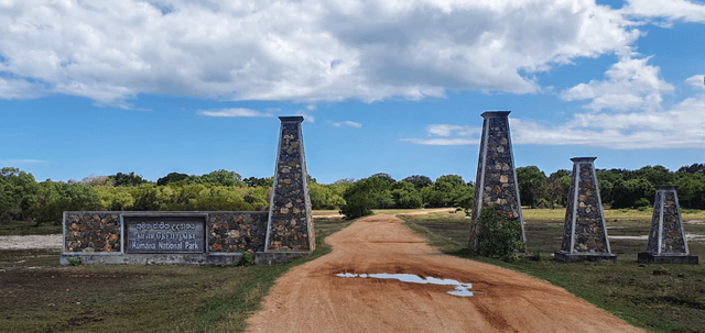 Morning Half-Day Safari at Kumana National Park 3