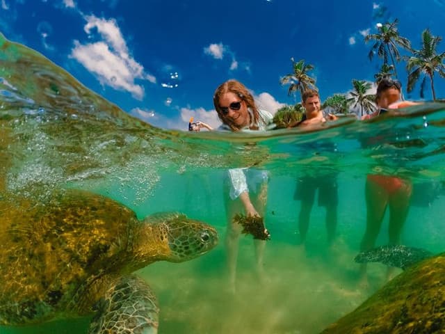 Sri Lanka Snorkeling Guide: Locations & Best Time to Visit - Photo 3