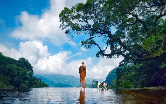 Knuckles Mountain Range: Sri Lanka’s Misty Highlands of Adventure - Photo 4