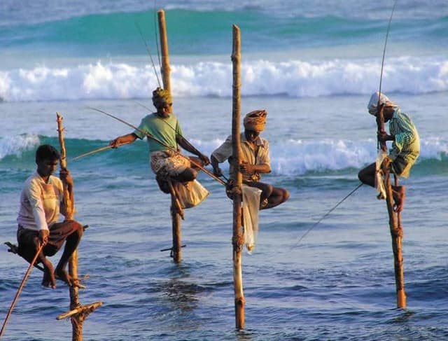 Stilt Fishing in Sri Lanka: The Art of Balancing Tradition and Ocean Life - Photo 2
