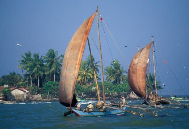 Negombo Treasures: From Beach Bliss to Colonial Echoes - Photo 8