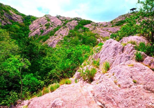 Namal Uyana Nature Trail –  Explore Sri Lanka’s Ironwood Forest and Quartz Mountain - Photo 2