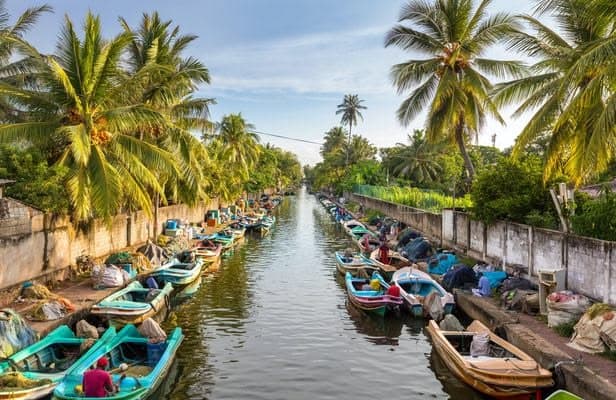 Negombo Treasures: From Beach Bliss to Colonial Echoes - Photo 3