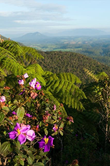 Horton Plains National Park – Sri Lanka’s Misty Highland Adventure - Photo 6