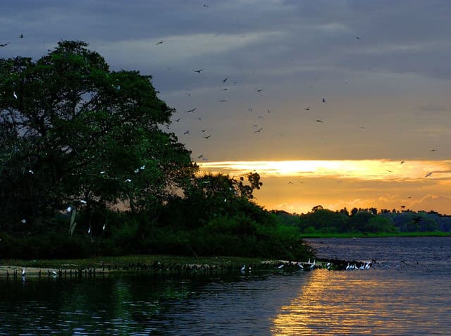 Afternoon Half-Day Safari at Bundala National Park 4