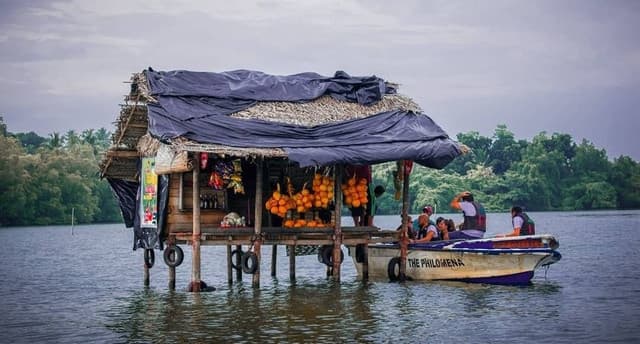Kosgoda Turtle Hatchery & Madu river Boat Ride Day Tour 4