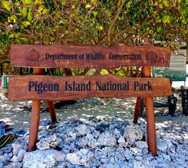 Pigeon Island Trincomalee – Snorkeling with Reef Sharks & Turtles - Photo 2