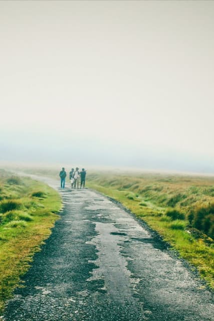 Horton Plains National Park – Sri Lanka’s Misty Highland Adventure - Photo 7