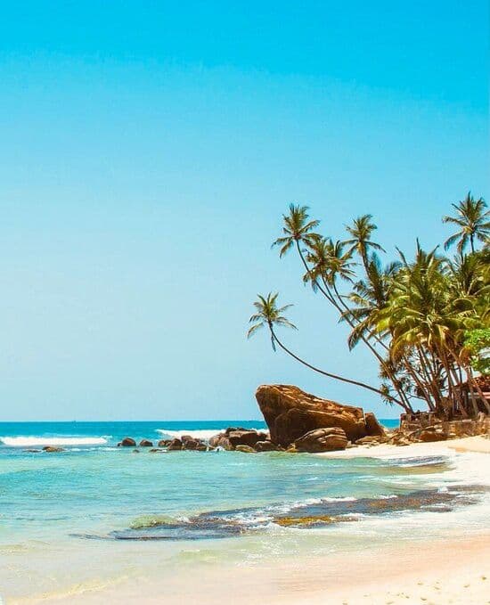 Unawatuna: Golden Sands by Day, Vibrant Beats by Night - Photo 5