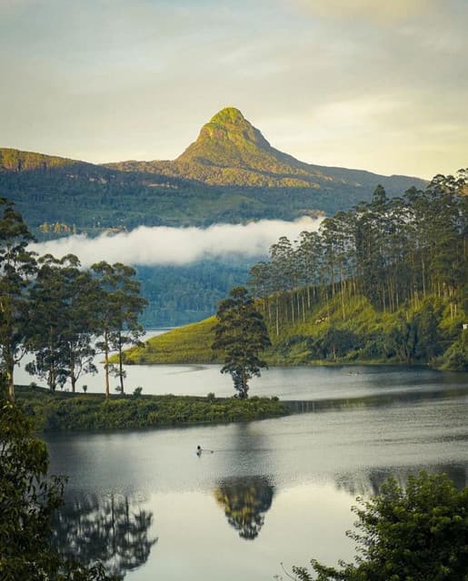 Adam's Peak - Sri Pada : A Sacred Summit in Sri Lanka - Photo 5