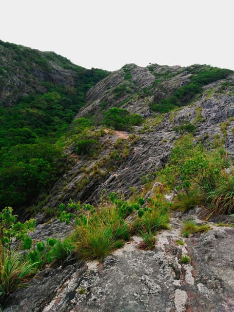 Namal Uyana Nature Trail –  Explore Sri Lanka’s Ironwood Forest and Quartz Mountain