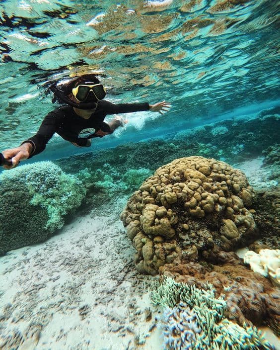 Pigeon Island Trincomalee – Snorkeling with Reef Sharks & Turtles - Photo 1
