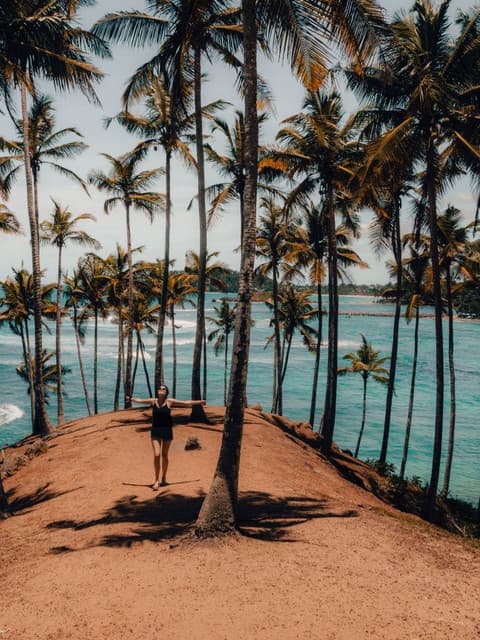 Coconut Tree Hill Mirissa – A Scenic Tropical Icon in Sri Lanka - Photo 5