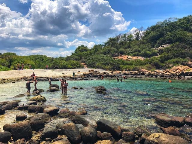 Pigeon Island Trincomalee – Snorkeling with Reef Sharks & Turtles - Photo 4