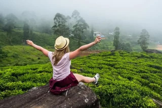 Full day Nuwara Eliya City Tour & Sightseeing 6