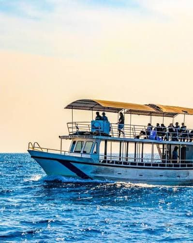 Whale Watching in Trincomalee – Discover Sri Lanka’s Giants of the Ocean