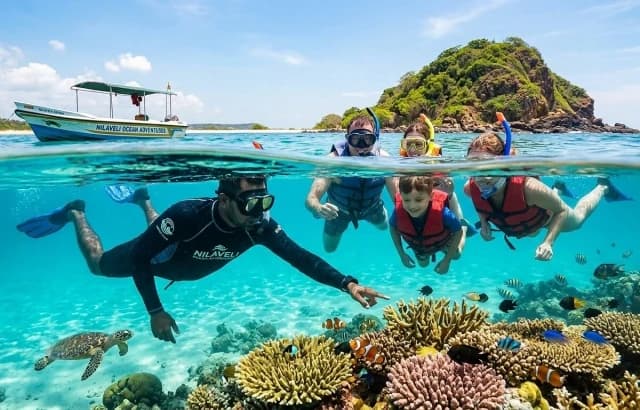 Pigeon Island Trincomalee – Snorkeling with Reef Sharks & Turtles