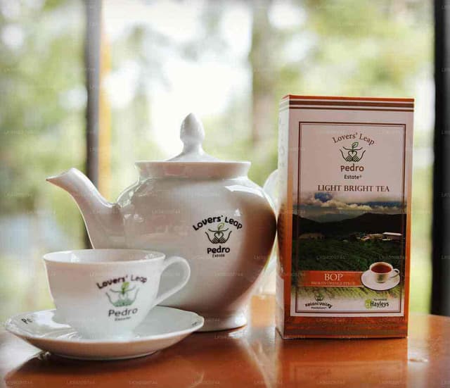 Pedro Tea Estate Nuwara Eliya: Authentic Tea Plucking Experience in Sri Lanka’s Hill Country - Photo 2